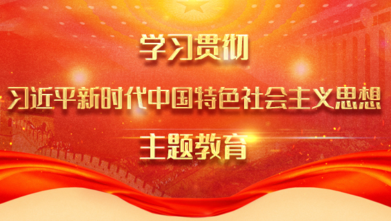 學習貫徹習近平新時代中國特色社會主義思想主題教育